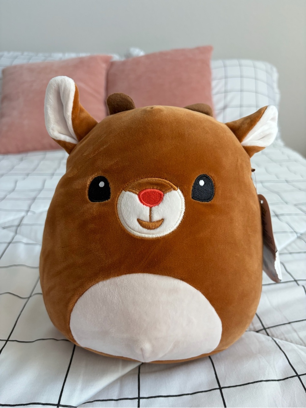 Rudolph the red nosed reindeer Squishmallow- exclusive Christmas collection 8”